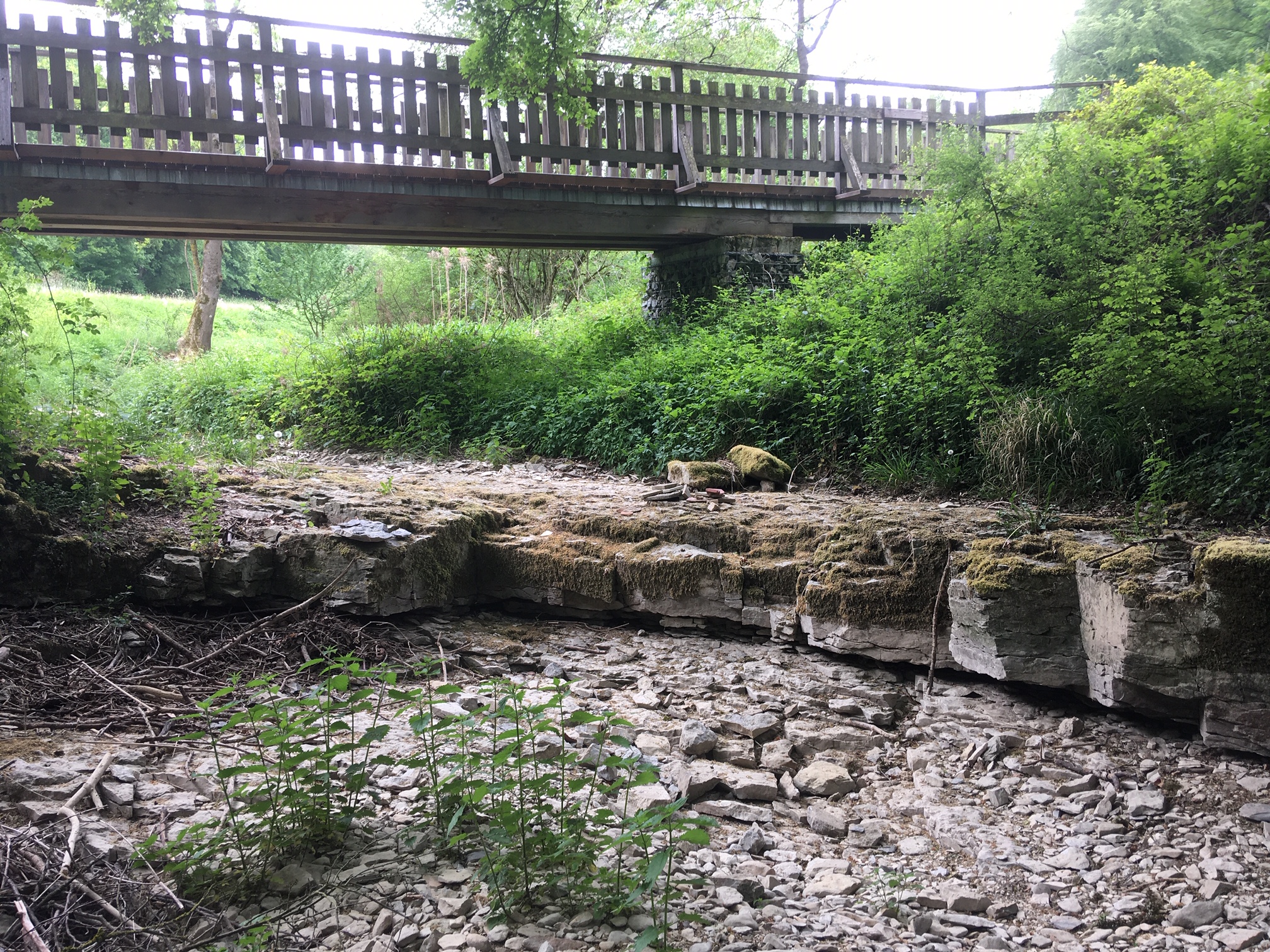 Example of a karstic dry river at a temperate climate. Menne in the vecinity of Paderborn (Germany).