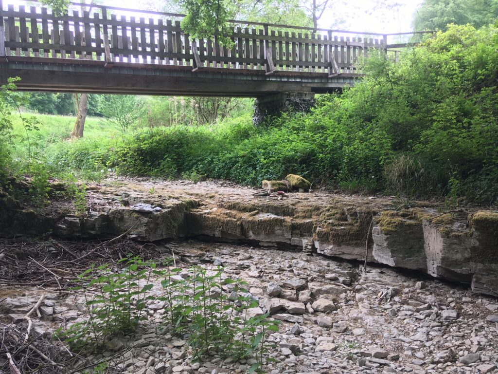 trockener Fluss Menne (Paderborner Hochland)